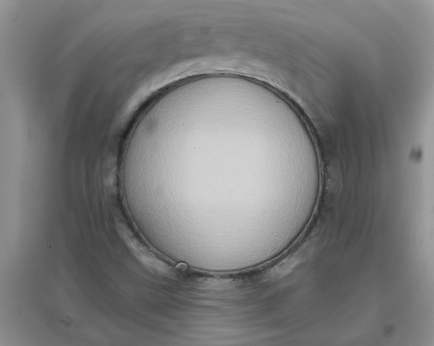 X0000097631499200803142013