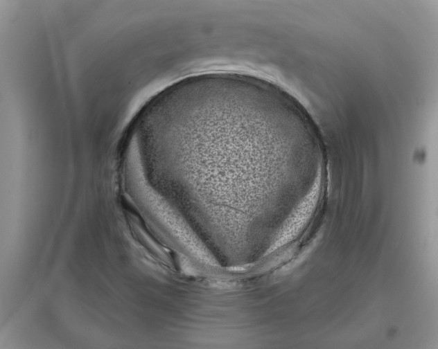 X0000097631501200803142013