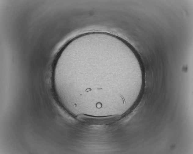 X0000097631502200803142013