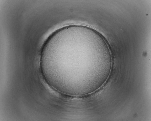 X0000097631503200803142013