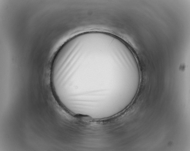 X0000097631504200803142013