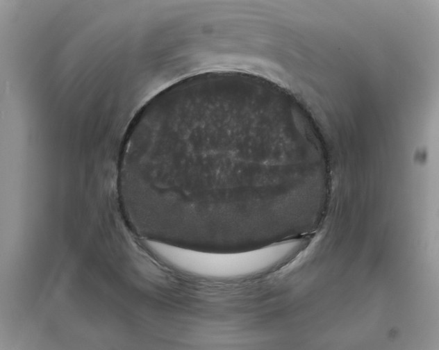 X0000097631505200803142013