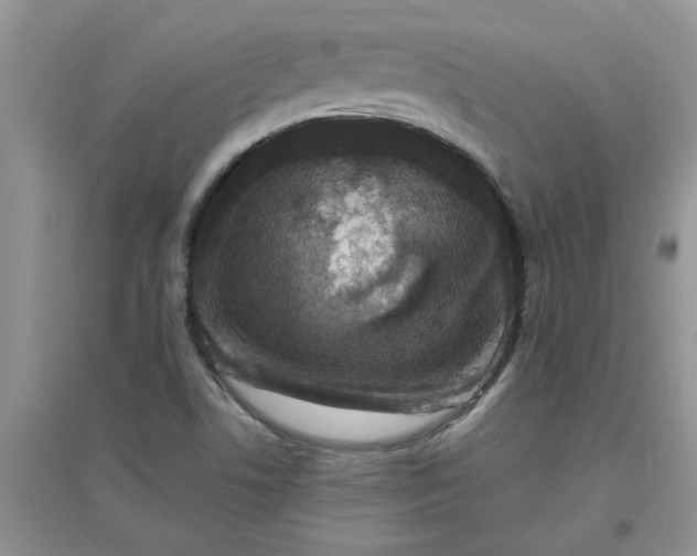 X0000097631506200803142013