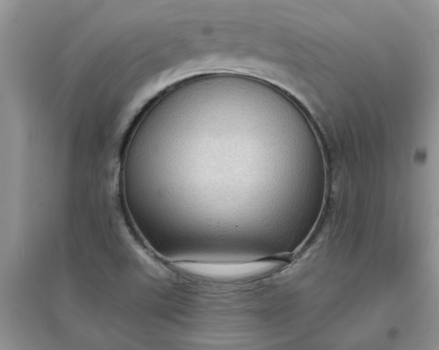 X0000097631507200803142013