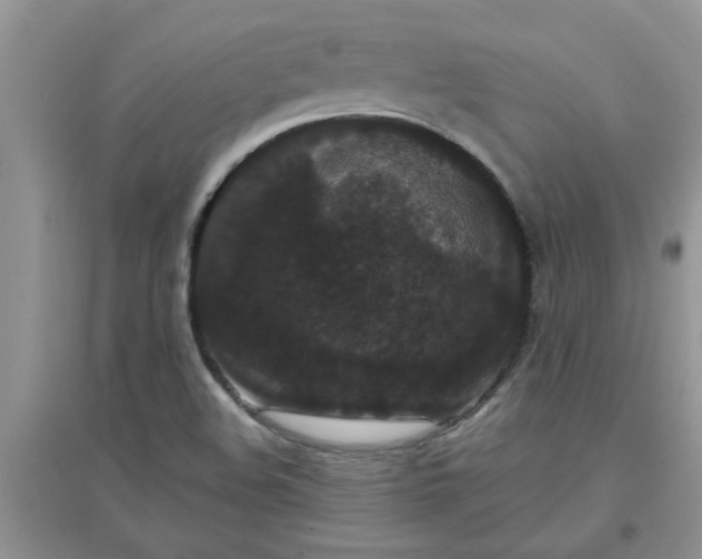 X0000097631508200803142013