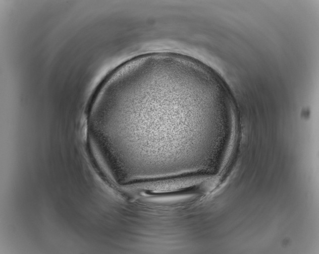 X0000097631509200803142013