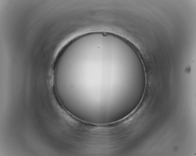 X0000097631510200803142013