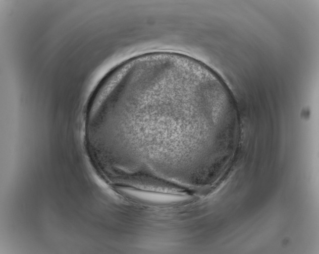 X0000097631511200803142013