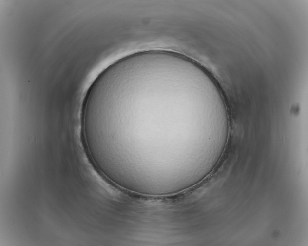 X0000097631512200803142013