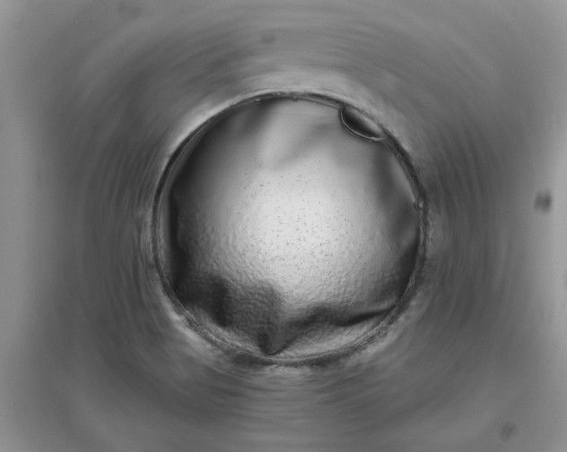 X0000097631513200803142013