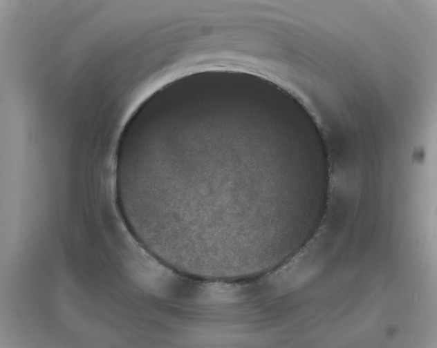 X0000097631514200803142013