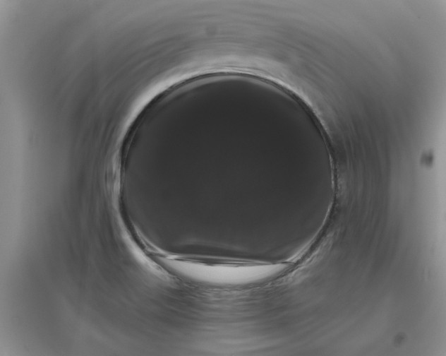 X0000097631515200803142013