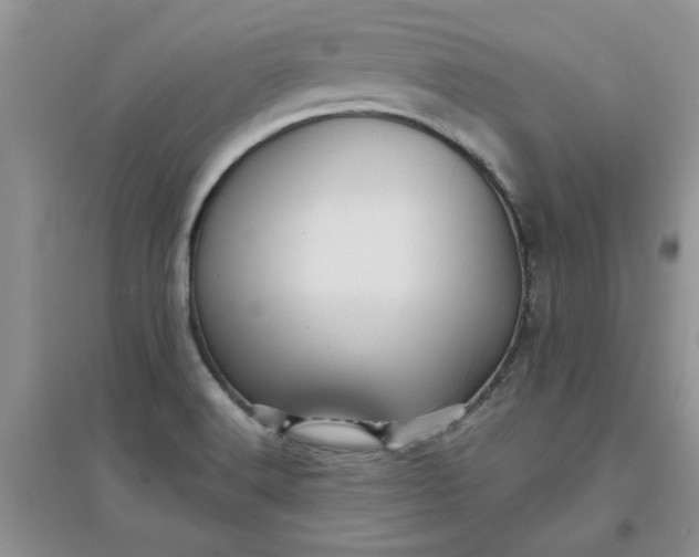 X0000097631516200803142013