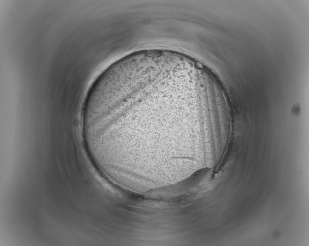 X0000097631517200803142013