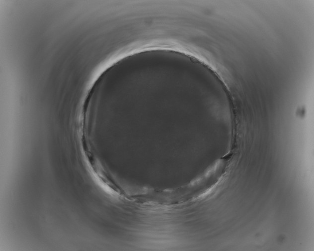 X0000097631519200803142013