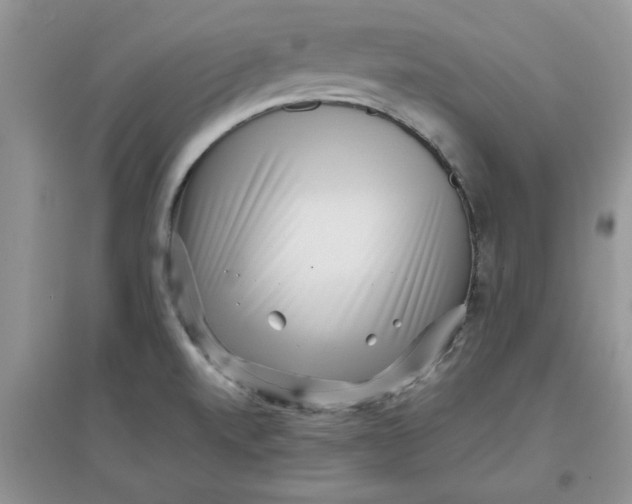 X0000097631520200803142013