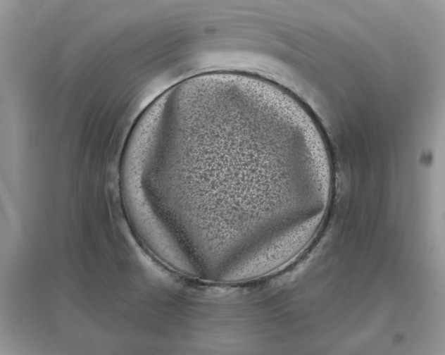 X0000097631521200803142013