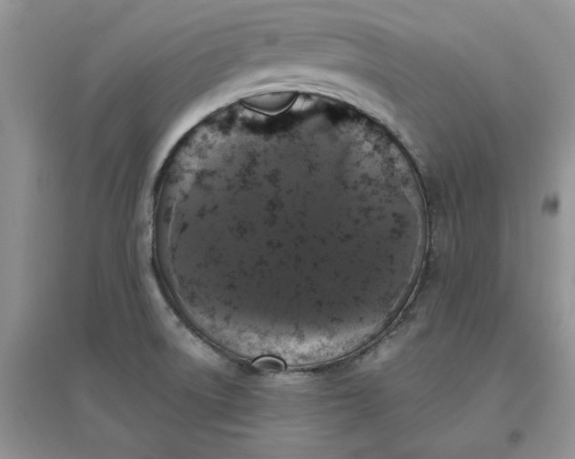 X0000097631522200803142013