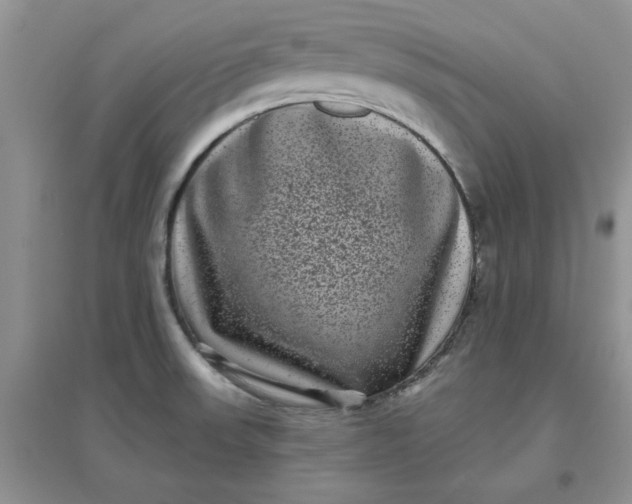 X0000097631523200803142013