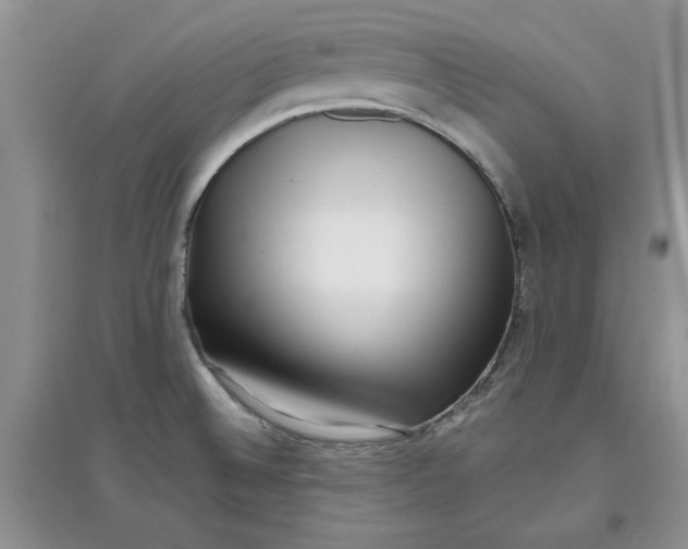 X0000097631524200803142013