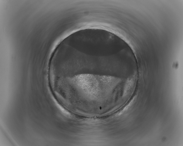 X0000097631525200803142013