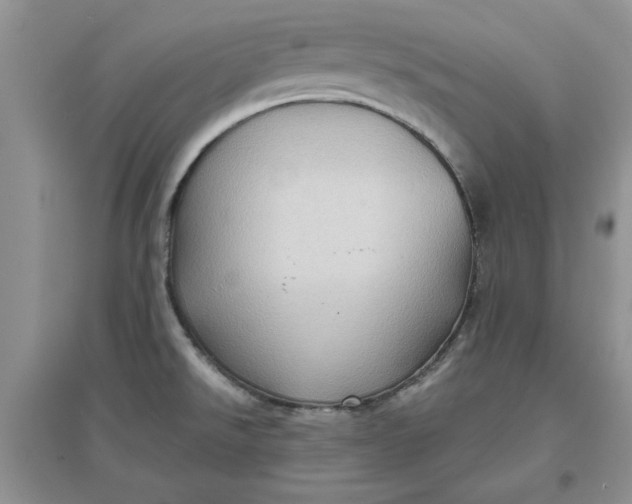 X0000097631526200803142013