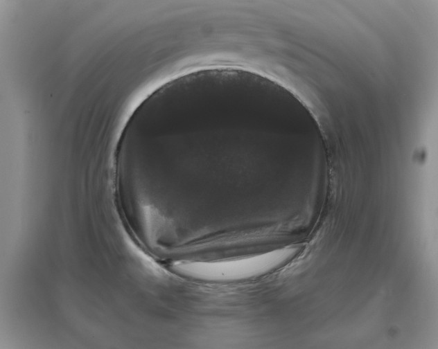 X0000097631527200803142013