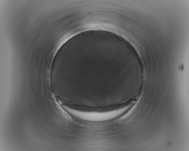 X0000097631529200803142013