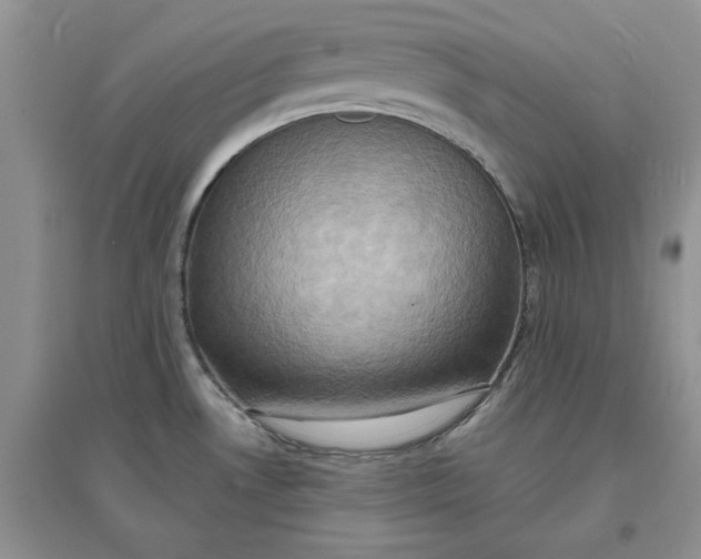 X0000097631530200803142013