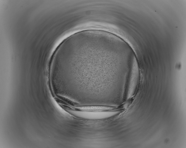 X0000097631531200803142013