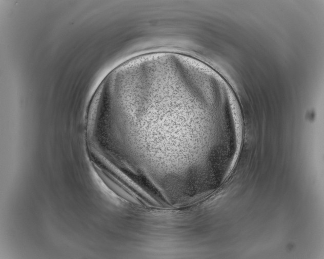 X0000097631532200803142013