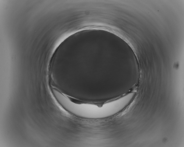 X0000097631533200803142013