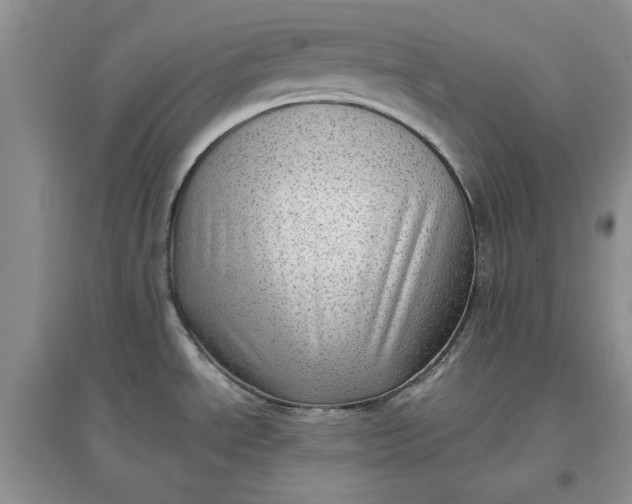 X0000097631534200803142013