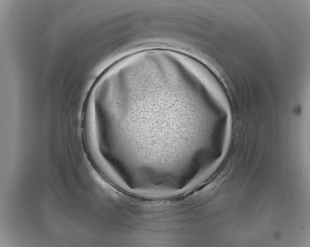 X0000097631535200803142013