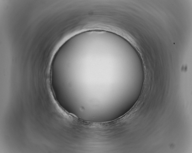 X0000097631536200803142013