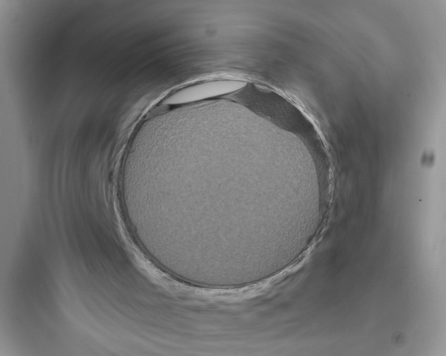 X0000097630001200803211820