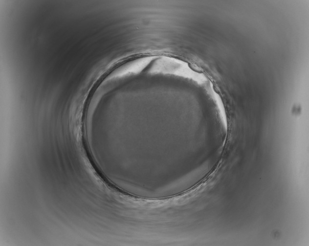 X0000097630002200803211820