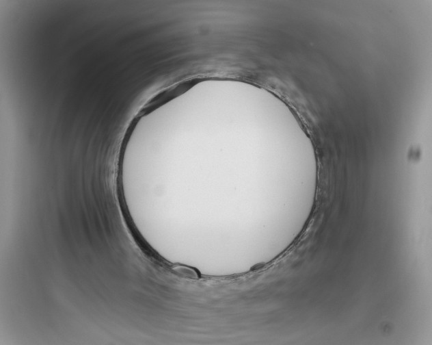 X0000097630003200803211820