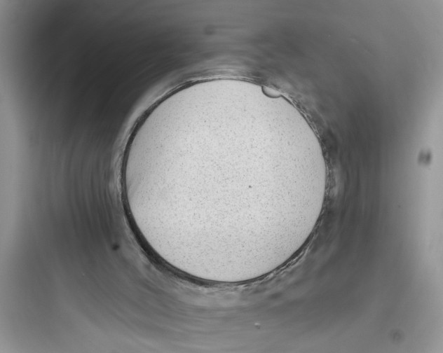 X0000097630004200803211820