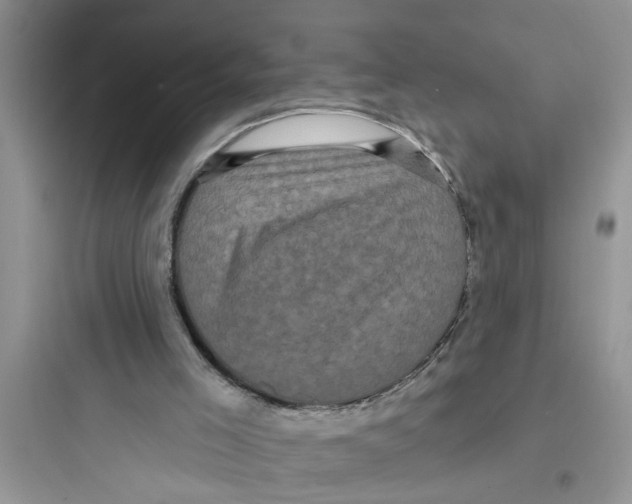 X0000097630005200803211820