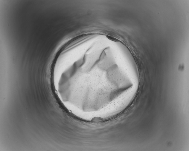 X0000097630006200803211820