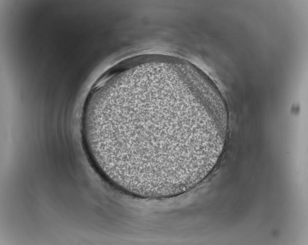 X0000097630007200803211820