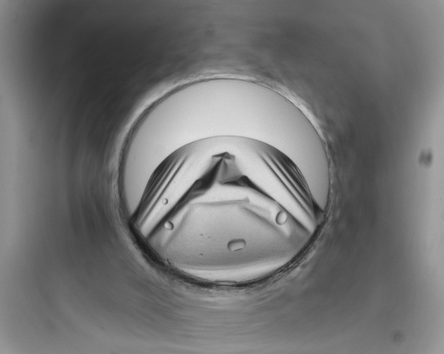 X0000097630008200803211820