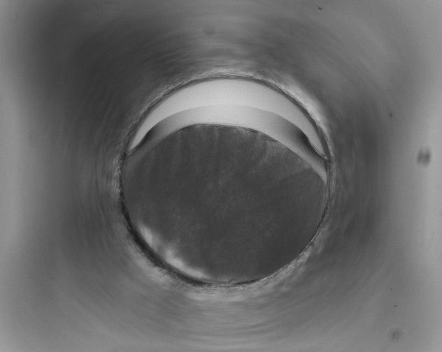 X0000097630009200803211820