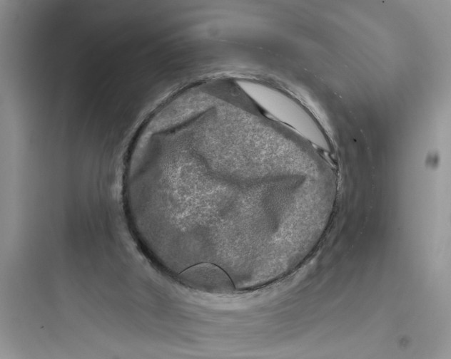 X0000097630010200803211820