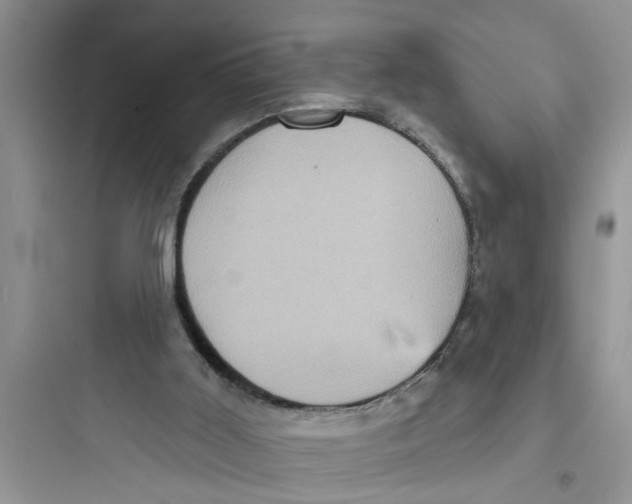 X0000097630011200803211820