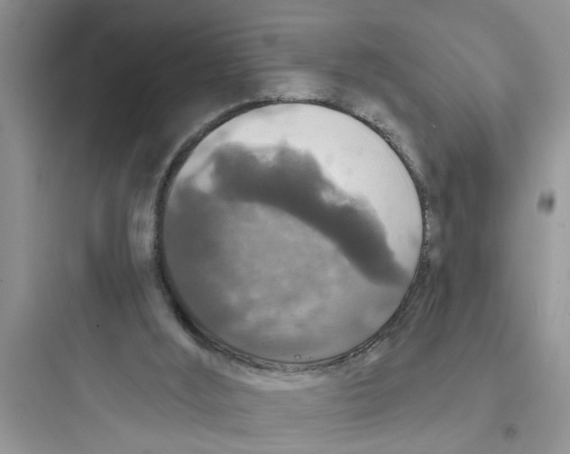 X0000097630012200803211820