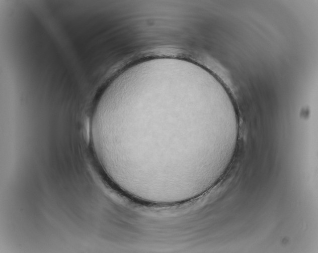 X0000097630013200803211820