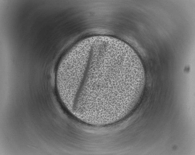 X0000097630014200803211820