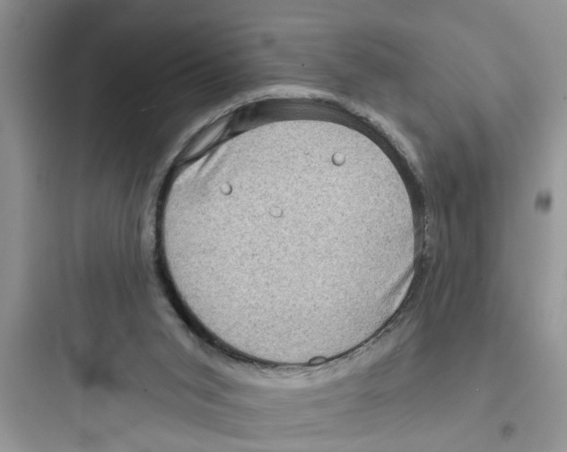 X0000097630015200803211820